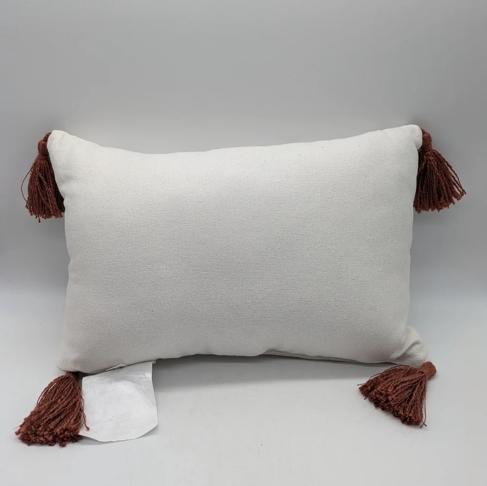 ✨3/$15 Hey Pumpkin White Burnt Red/Orange Embroidered Fall Autumn Throw Pillow